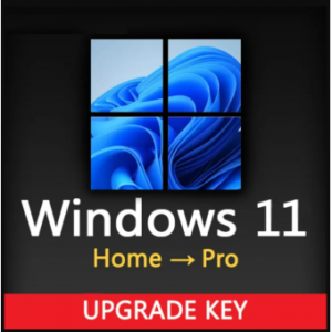 Upgrade Windows Home to Pro for all PC